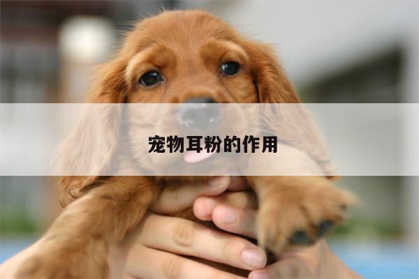 ayx官网登录入口| 宠物耳粉的作用