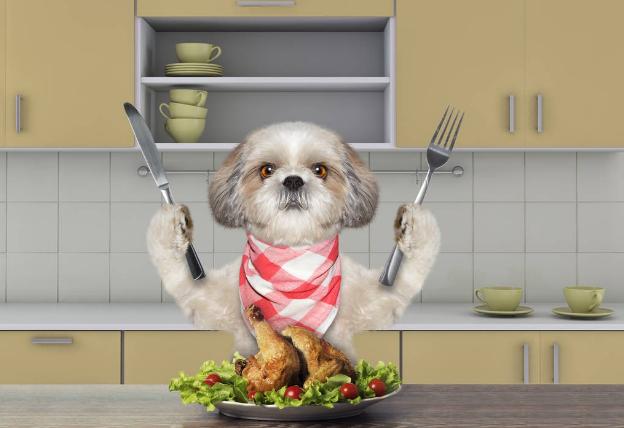  宠物狗狗可以吃人吃的东西吗 