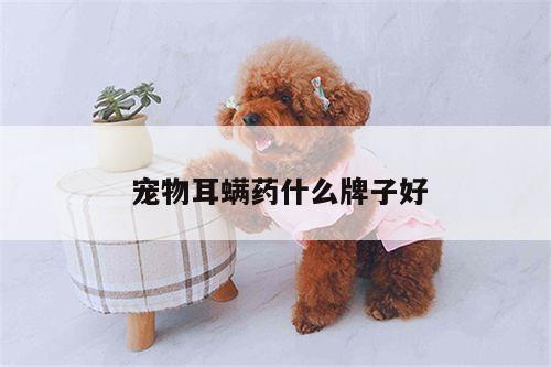 宠物耳螨药什么牌子好