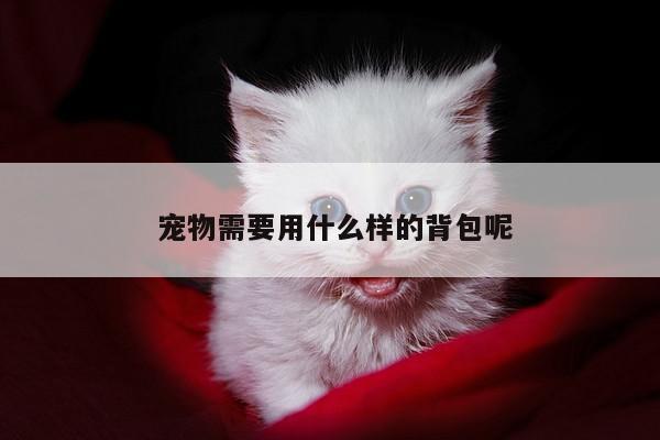 宠物需要用什么样的背包呢