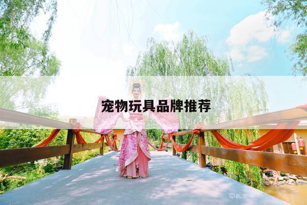 宠物玩具品牌推荐