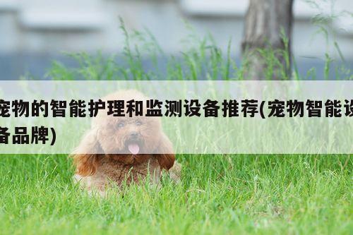 宠物的智能护理和监测设备推荐(宠物智能设备品牌)