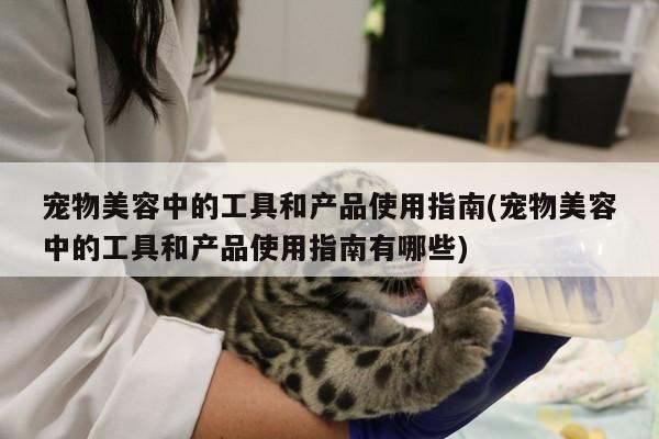 宠物美容中的工具和产品使用指南(宠物美容中的工具和产品使用指南有哪些)