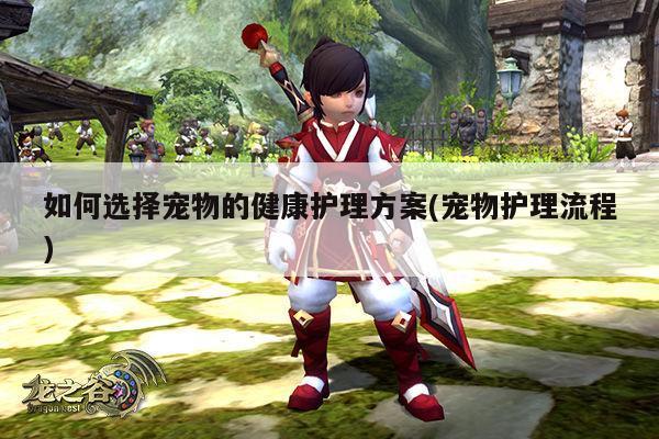 如何选择宠物的健康护理方案(宠物护理流程)