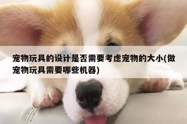 宠物玩具的设计是否需要考虑宠物的大小(做宠物玩具需要哪些机器)