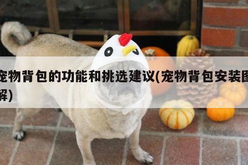 宠物背包的功能和挑选建议(宠物背包安装图解)